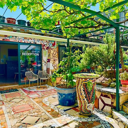 Hostel Art & Joy 普拉 外观 照片